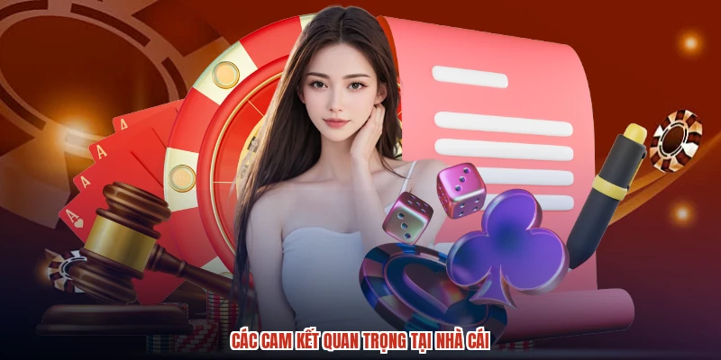 Các cam kết quan trọng tại nhà cái
