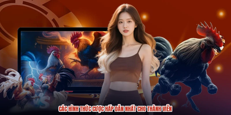 Các hình thức cược hấp dẫn nhất cho thành viên
