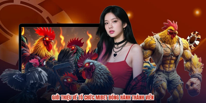 Giới thiệu về tổ chức MIBET đồng hành thành viên