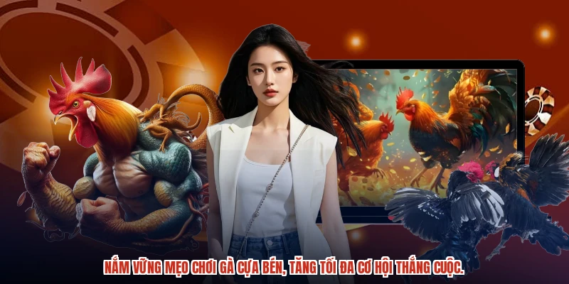 Nắm vững mẹo chơi gà cựa bén, tăng tối đa cơ hội thắng cuộc.