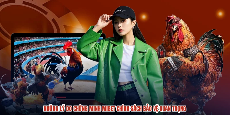 Những lý do chứng minh MIBET chính sách bảo vệ quan trọng