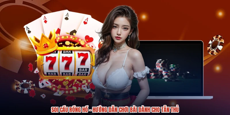 Soi Cầu Rồng Hổ - Hướng Dẫn Chơi Bài Dành Cho Tân Thủ