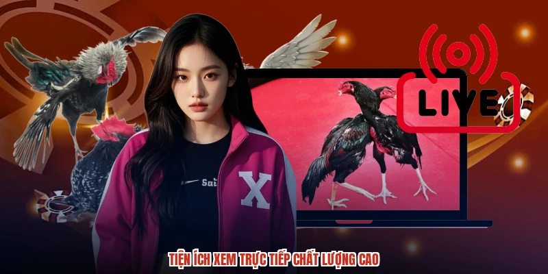 Tiện ích xem trực tiếp chất lượng cao