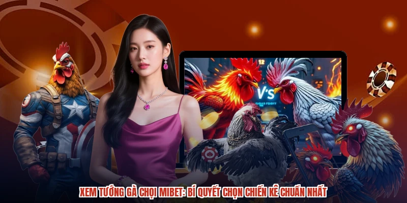 Xem Tướng Gà Chọi MIBET: Bí Quyết Chọn Chiến Kê Chuẩn Nhất