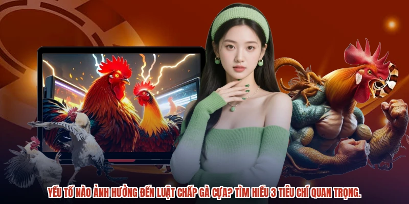 Yếu tố nào ảnh hưởng đến luật chấp gà cựa? Tìm hiểu 3 tiêu chí quan trọng.