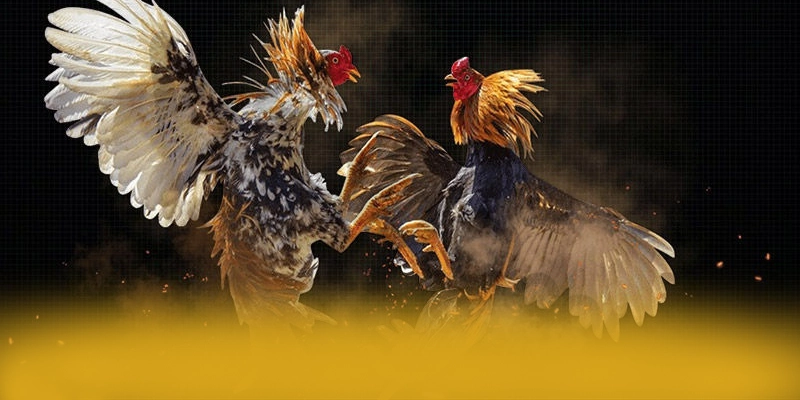 Quy trình thanh toán nhanh chóng và an toàn tại GOOD88